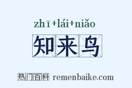 知来鸟是什么意思的图片